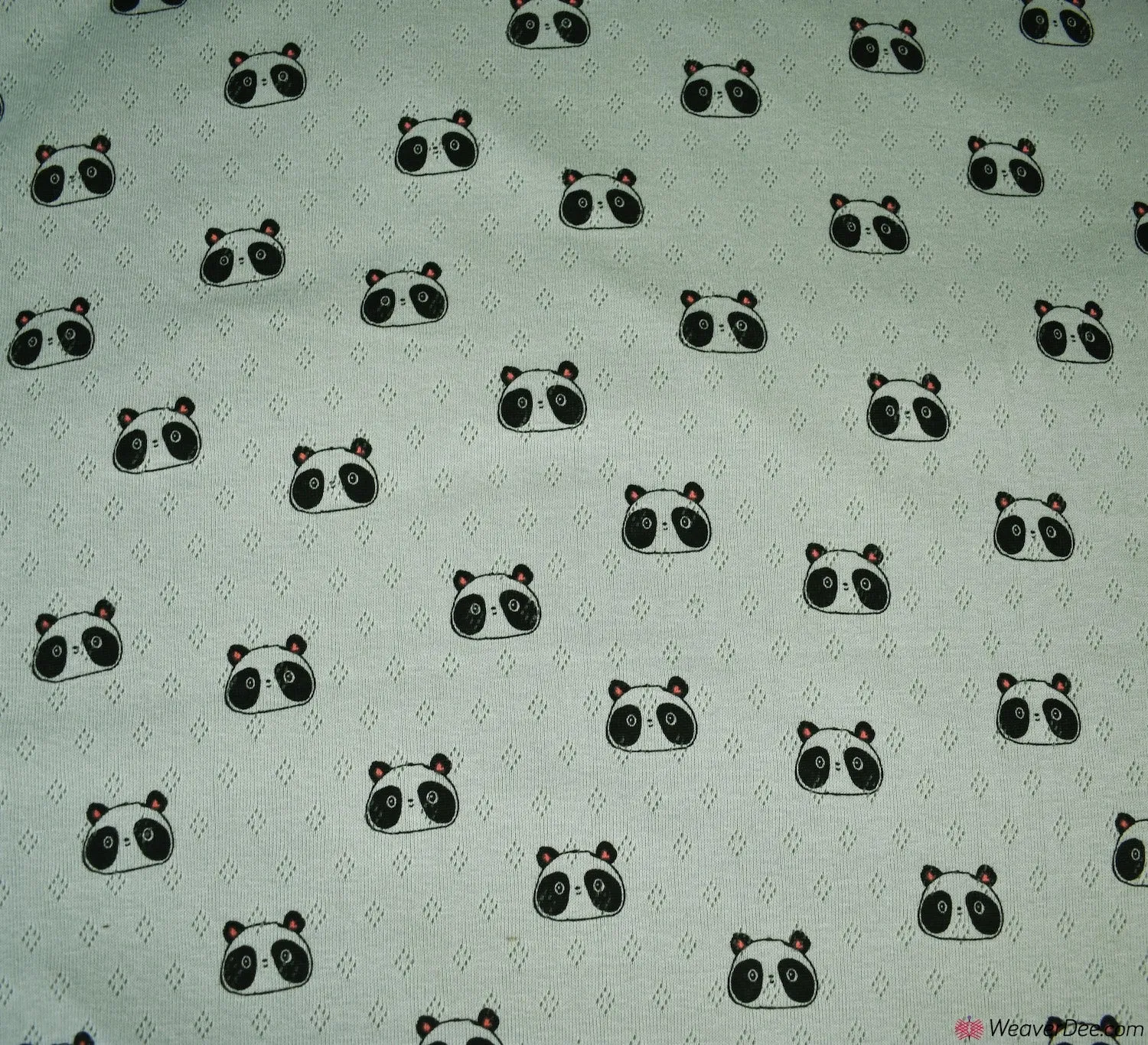 Knitted Cotton Jersey Fabric - Panda Sage Green